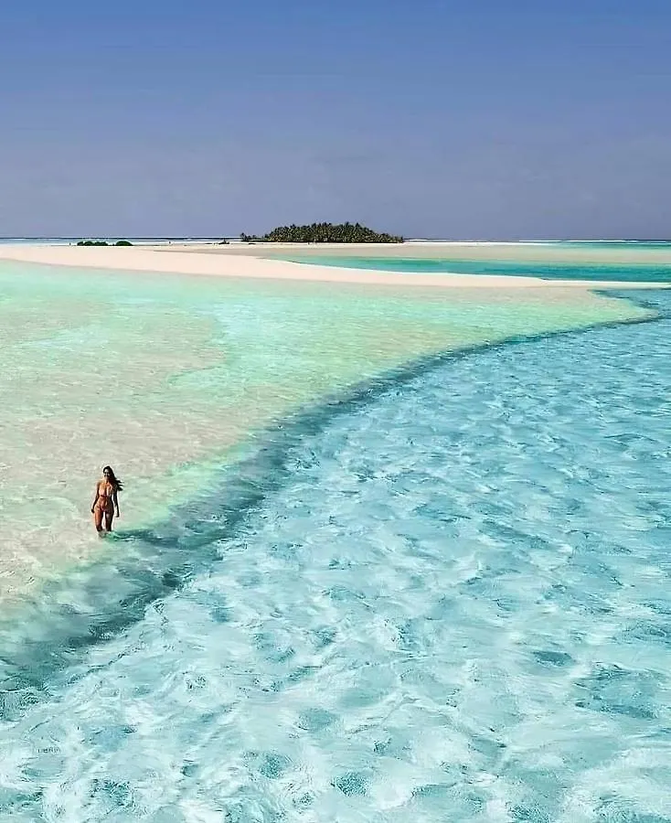 Apartamento En Fraccionamiento Privado 6 Personas Con Piscina Cerca De La Playa بلايا ديل كارمن 0*,