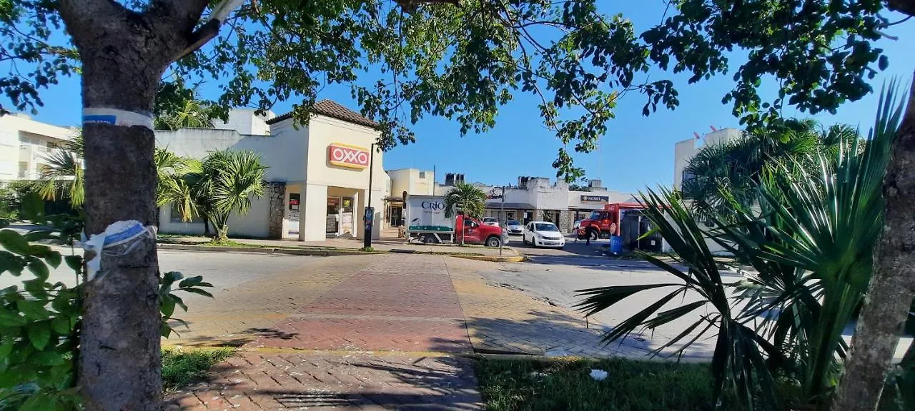 Apartamento En Fraccionamiento Privado 6 Personas Con Piscina Cerca De La Playa بلايا ديل كارمن